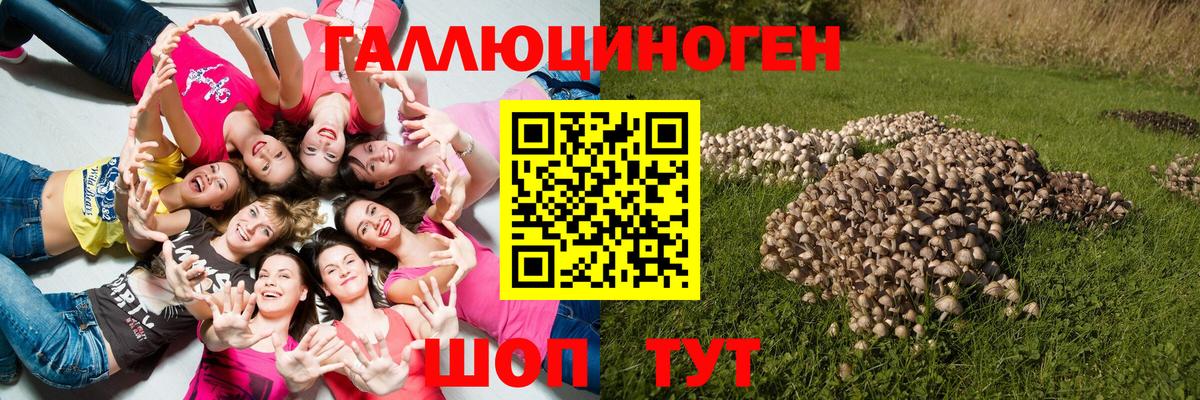 Галлюциногенные грибы мухоморы Зерноград