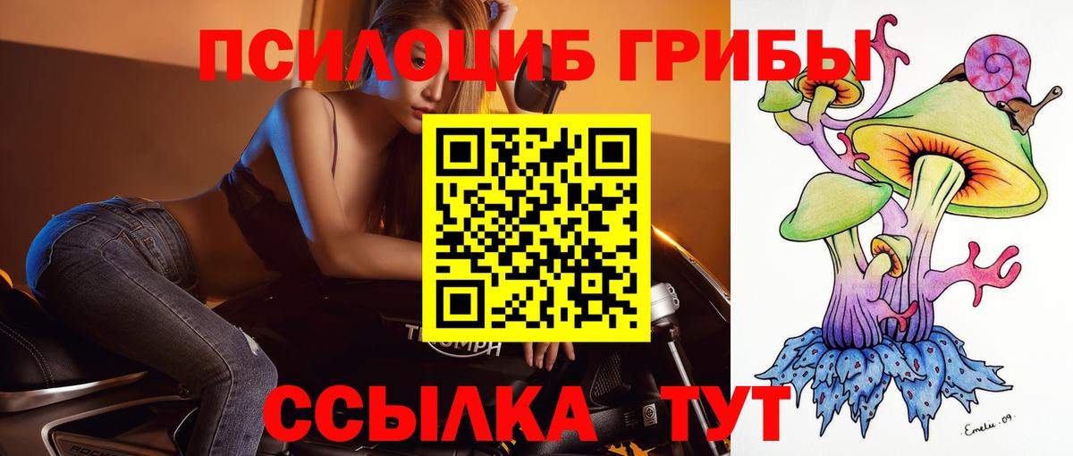 Зерноград  купить наркотики сайты  Вход с VPN  Галлюциногенные грибы MAGIC MUSHROOMS 